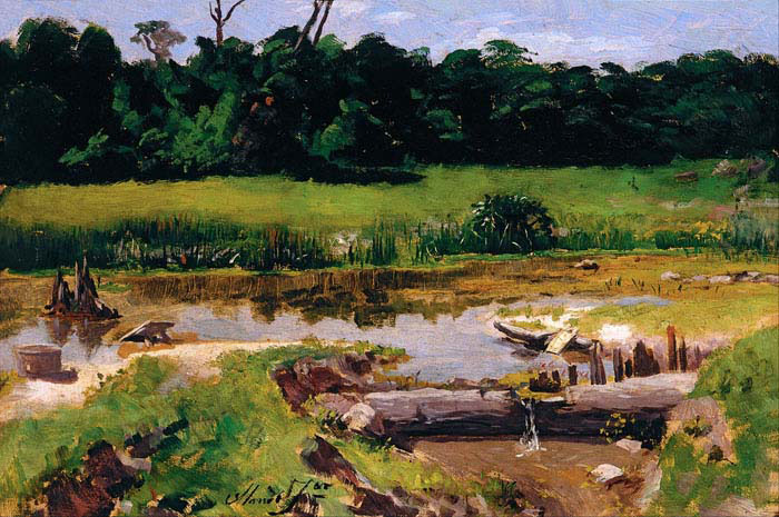 fluvial landscape